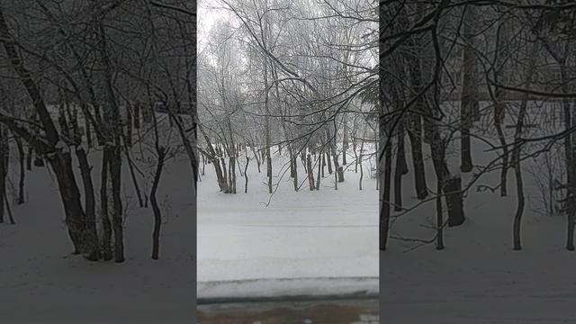 Слуховой анализ.Аккорды (520) смотреть онлайн