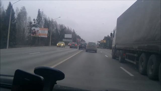 Упало дерево на трассе смотреть онлайн