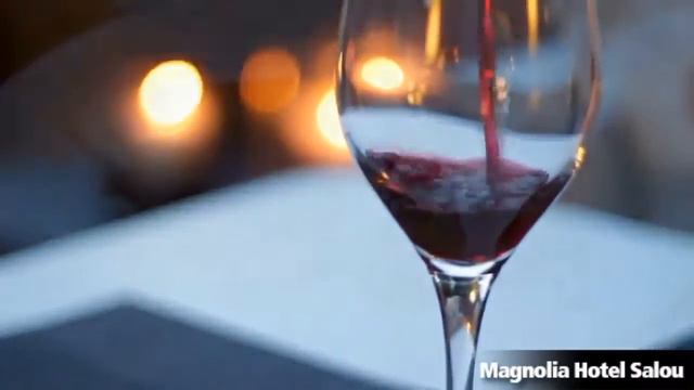 Magnolia Hotel, Salou, Costa Dorada - AdultyHotels смотреть онлайн