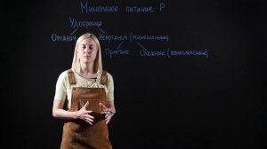 БИОЛОГИЯ 6 класс: Минеральное питание растений