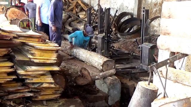 kayu rendam yang dikeramatkan,selama 3,7 tahun dibiarkan dalam air akhirnya dilepas senilai 92juta смотреть онлайн