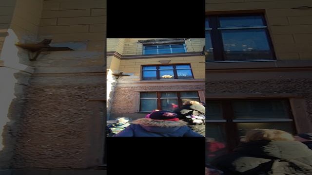 кот Елисей и кошечка Василиса