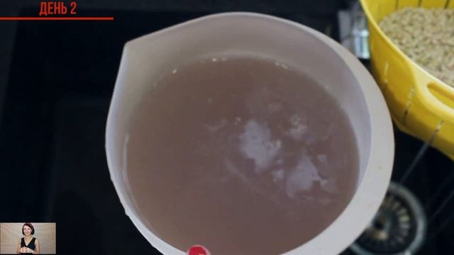 Мой опыт проращивания зелёной гречки за 4 дня. смотреть онлайн