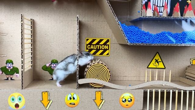 ?Amazing Hamster Maze with Traps ?[OBSTACLE COURSE]? + BONUS смотреть онлайн