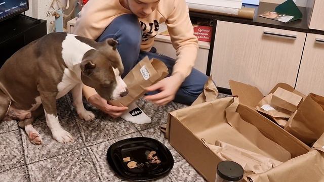 Амстафф Локи | Вкусная РАСПАКОВКА | Amstaff Loki