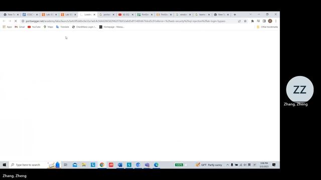 SQL Injection Lab by Zheng Zhang смотреть онлайн