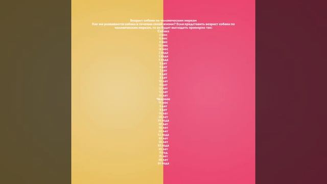 Сколько живут собаки? смотреть онлайн