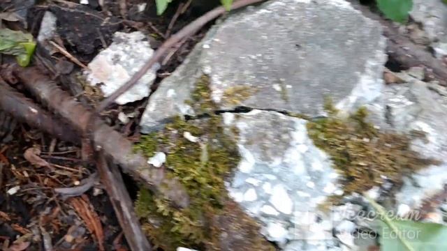 ДОБЫВАЮ МЕТАЛЛОЛОМ С ПОМОЩЬЮ КУВАЛДЫ И АККУМУЛЯТОРНОЙ БОЛГАРКИ смотреть онлайн