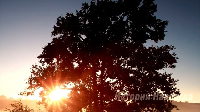 После 5 лет женщина узнала, что у мужа есть другая. Если бы он только знал… смотреть онлайн