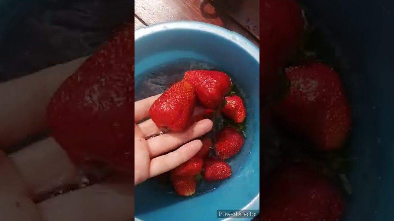 День в деревне 20 июня 2022 смотреть онлайн