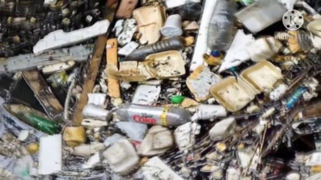 Экологиялық проблемалар смотреть онлайн