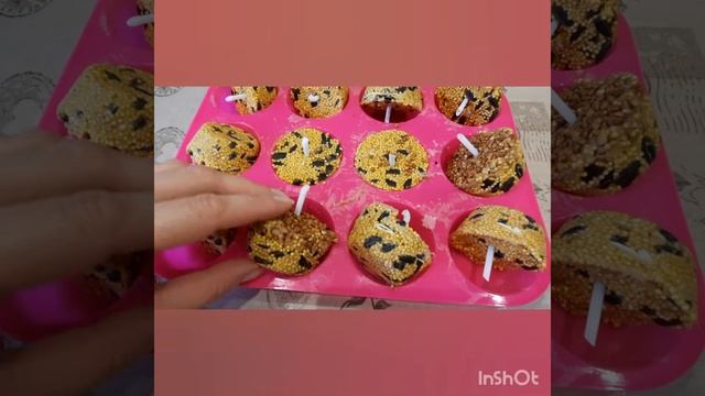 Кормушка для птиц - эко кормушка, съедобная кормушка для птиц своими руками смотреть онлайн