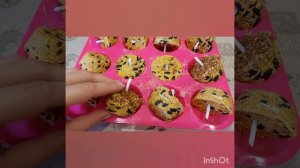 Кормушка для птиц - эко кормушка, съедобная кормушка для птиц своими руками