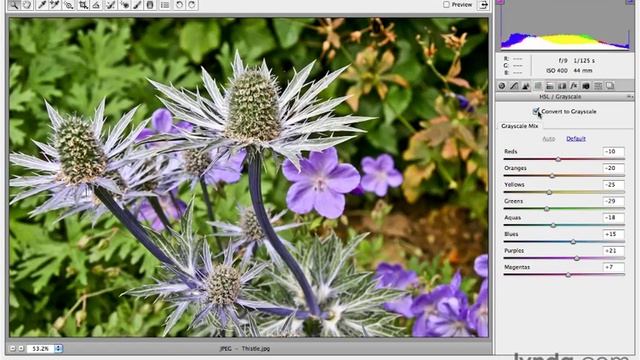 Adobe Photoshop (Camera Raw Essentials) #4 смотреть онлайн
