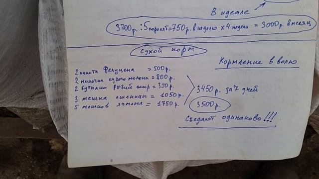 Расход корма - Отчёт за неделю - белые свиньи смотреть онлайн
