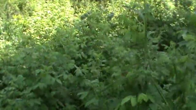 Нижняя Коса (6) смотреть онлайн