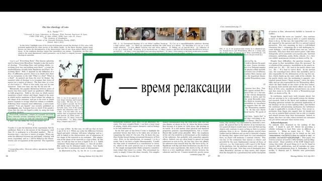 Шнобелевская премия. Текучесть кошек. смотреть онлайн