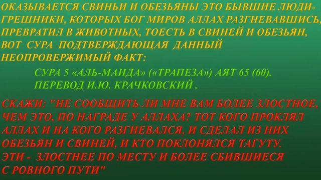 ПОЧЕМУ НЕЛЬЗЯ ЕСТЬ СВИНИНУ?! смотреть онлайн