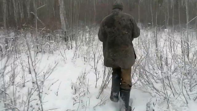 В Бурятии поймали рысь смотреть онлайн