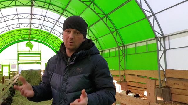 Дорперы-кормление, что едят наши Дорперы.....все про корма у нас смотреть онлайн