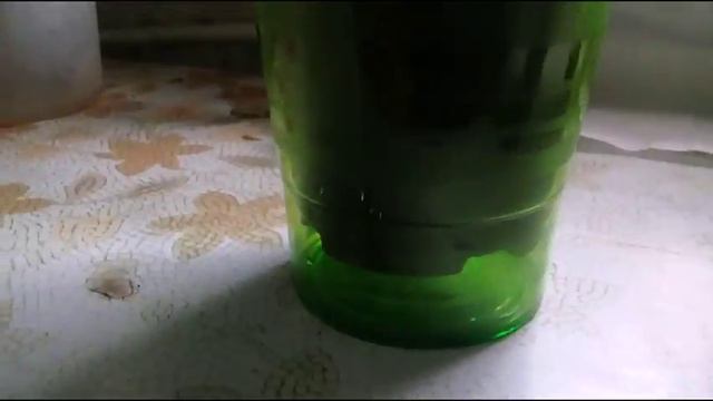 каттлея спит кошка помогает смотреть онлайн