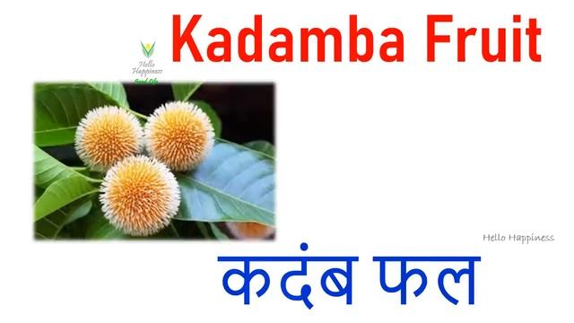 Fruits Name in Hindi and English | फलो के नाम हिन्दी एवं अंग्रेजी भाषा में | Fruit Names List смотреть онлайн