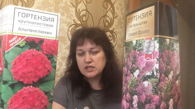 ГОРТЕНЗИЯ Обзор сортов. Как пересылать гортензии смотреть онлайн
