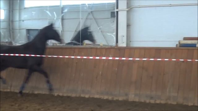 Саадия смотреть онлайн