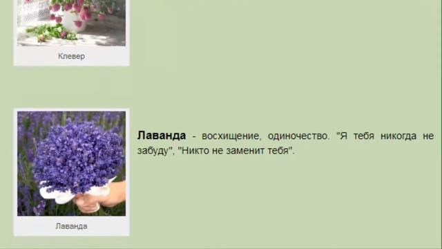 Флюрографика — язык цветов смотреть онлайн