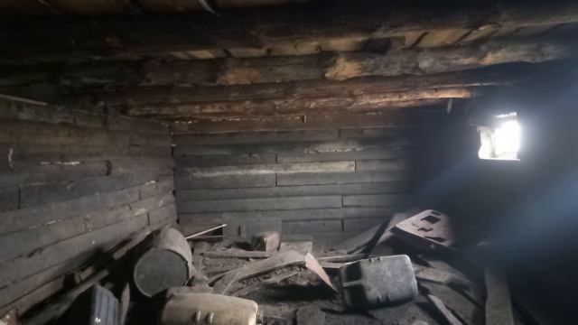 Мы ловим крысу. смотреть онлайн