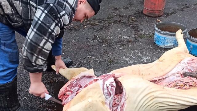 Свинина. Части. Свиной ОШЕЕК. Цена. Свиноводство.