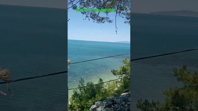 #медузов #голубаябездна #геленджик #море смотреть онлайн