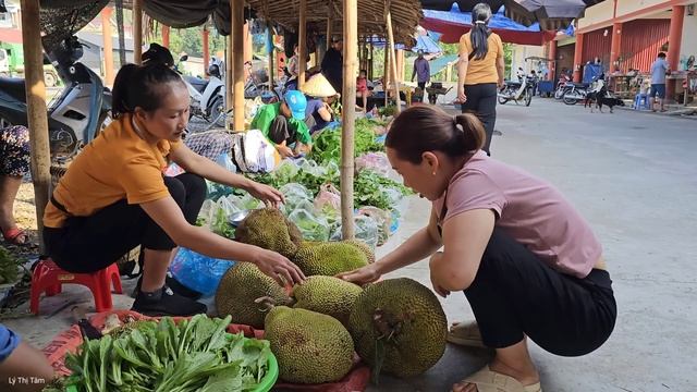 Harvest Jack Fruit Garden goes to the market sell - Gardening - Ly Thi Tam смотреть онлайн