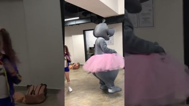 Бегемотиха Глория - поздравление с Днем Рождения смотреть онлайн