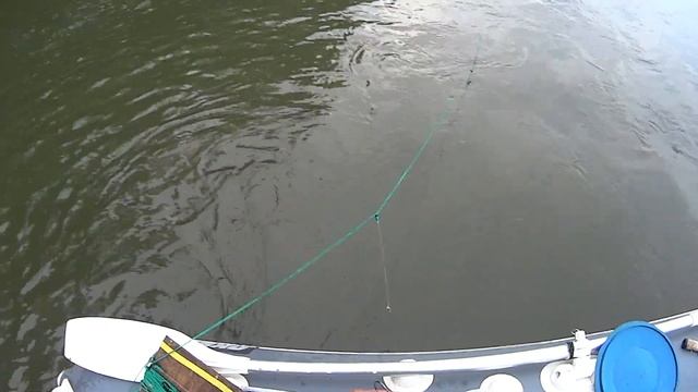 Как Поставить Перемёт Одному на течении. река Белая. смотреть онлайн