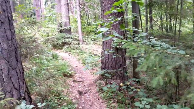 Красивейшие места России. Удмуртия. Турбаза "Костоваты". смотреть онлайн