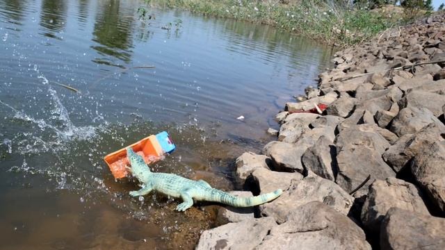 Крокодил дерется со змеями смотреть онлайн