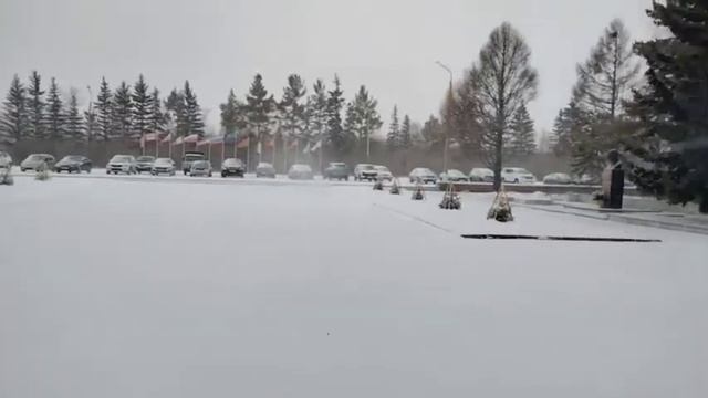 Снег, снежок , белая метелица ❄️❄️❄️ смотреть онлайн