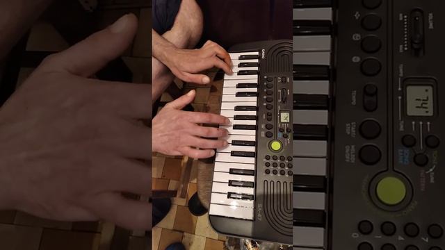 Купил Casio SA 47