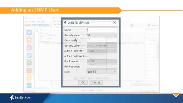 Advanced Procedures: Using SNMP on Tellabs OLTs смотреть онлайн