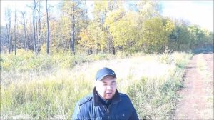 Как манить лося на реву