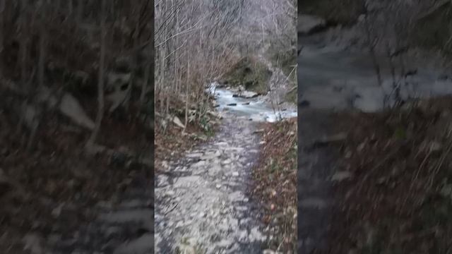 Music Evolution of Sound _ Progressive House Mantra DJ MIX for Soul and energy смотреть онлайн