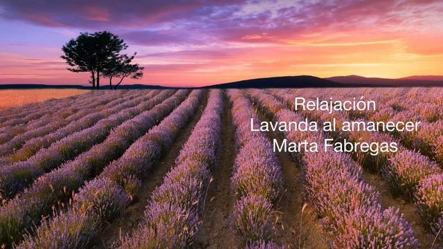 Relajación: Lavanda al amanecer смотреть онлайн