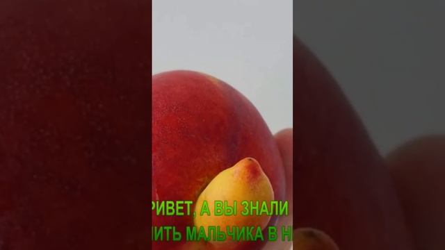 Некторин мальчик.Как узнать. смотреть онлайн