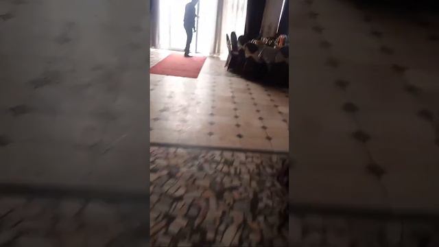 номер 52 туй ! смотреть онлайн