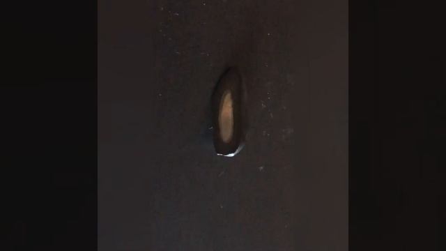 Кладовые земли. Видеоиллюстрация к уроку окружающего мира для 3 класса.