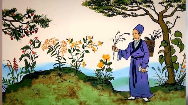 Низкий уровень Эстрогена. Последствия. Как повысить Эстроген у женщин естественными способами? смотреть онлайн