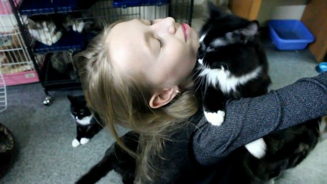 ПОМОРСКИЙ КОТОДОМ МЯУТКА/АРХАНГЕЛЬСК смотреть онлайн