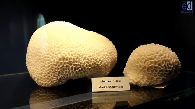 Корабль музей Сураханы смотреть онлайн