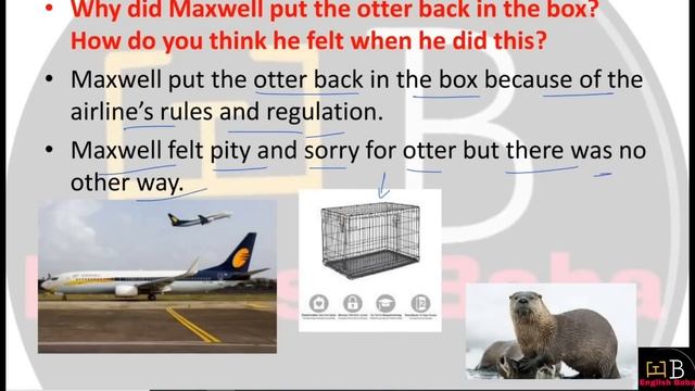 Mijbil the otter question answer смотреть онлайн